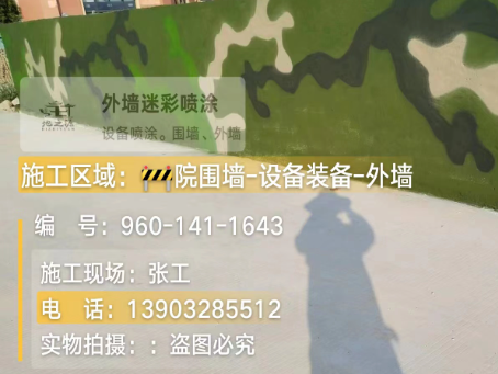 辽宁 迷彩漆喷涂价格（按平方米计费）