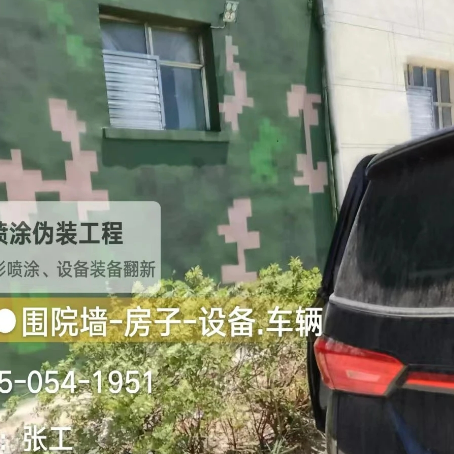 辽宁数码迷彩漆施工